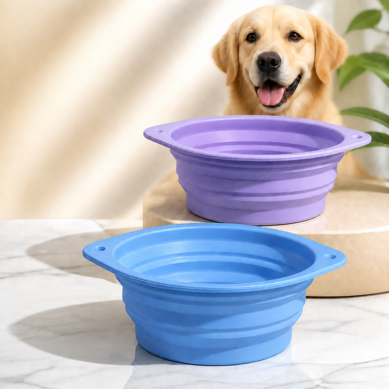 Dog feeding area with silicone pet supplies
